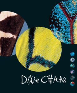 Dixie Chicks - Fly [1999] Ed. USA