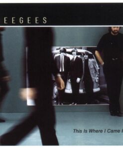 Bee Gees - This Is Where I Came In [2001]