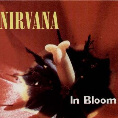 Nirvana - In Bloom