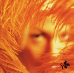 Stone Temple Pilots – Shangri-La Dee Da [2001] Ed. CAN