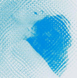 Wray - Hypatia [2016] Ed. USA