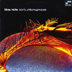 V/A - 33 1/3 Microgroove [2003] Ed. CHI (NYS)