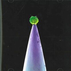 Peter Gabriel – New Blood [2011] Ed. EUR