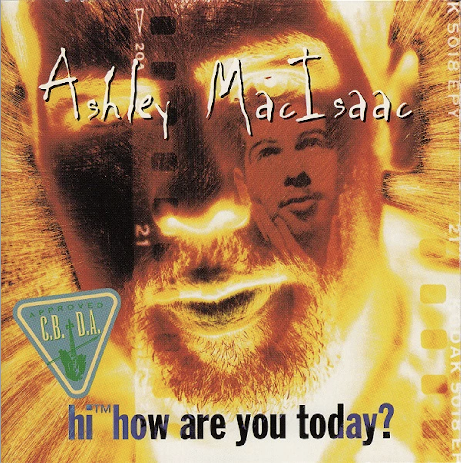 Ashley MacIsaac - Hi™ How Are You Today?