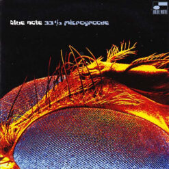 V/A - 33 1/3 Microgroove [2003] Ed. USA