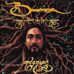 Boomer - Sindicato De La Danza: Andanzas [2003] Ed. CHI