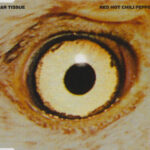 Red Hot Chili Peppers - Scar Tissue