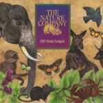 V/A - The Nature Company 1995 Music Sampler