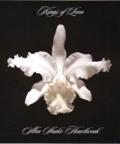 Kings Of Leon – Aha Shake Heartbreak [2004] Ed. EUR