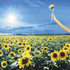 Stone Temple Pilots – Thank You [2003] Ed. ARG